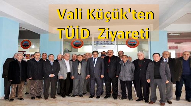 Vali İzzettin Küçük, Türkiye