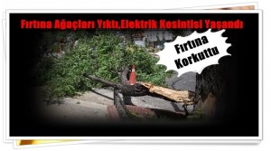 Fırtına,Elektrik Kesintisi Getirdi