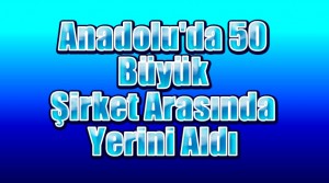 İlk 50 Şirket Arasında