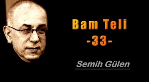 Bam Teli 33