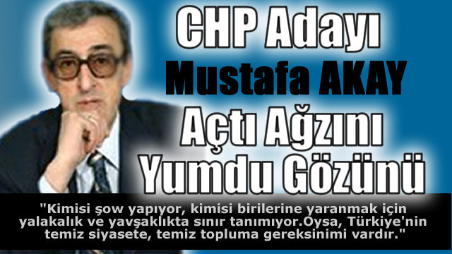   CHP Karabük Milletvekili