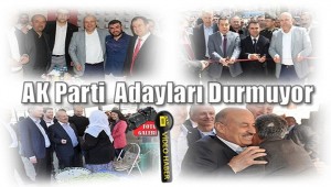 AK Parti Vekil Adayları Dört Koldan Çalışıyor