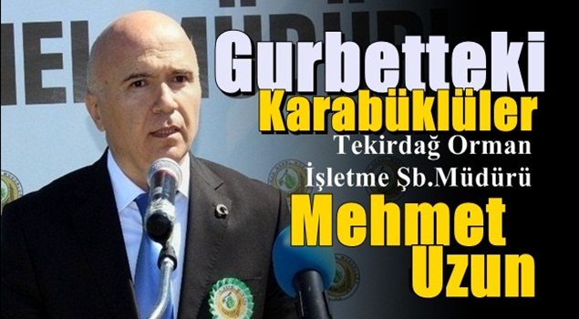       Karabüklü