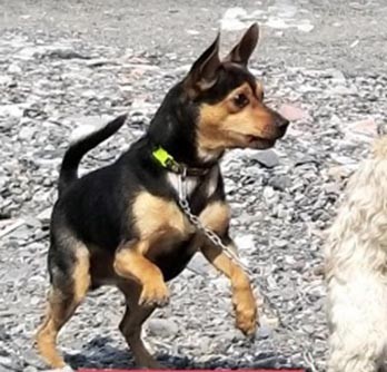 Zonguldak’ta yaşayan Ali Şen,