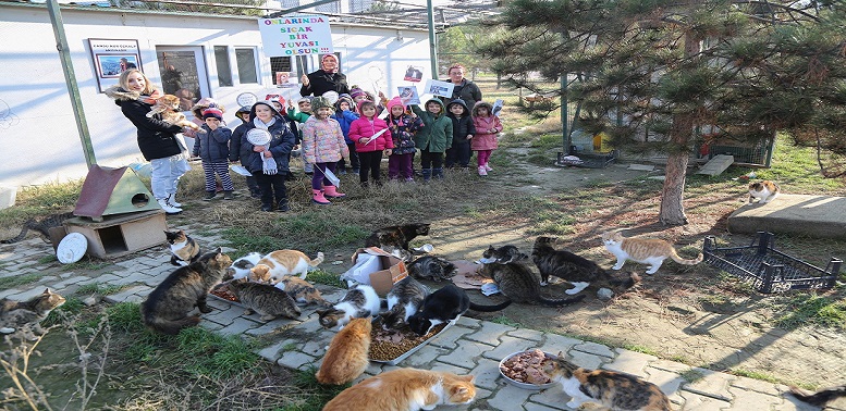 Kediler üşümesin diye yuva yaptılar