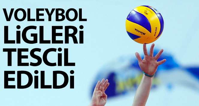 Türkiye Voleybol Federasyonu (TVF),