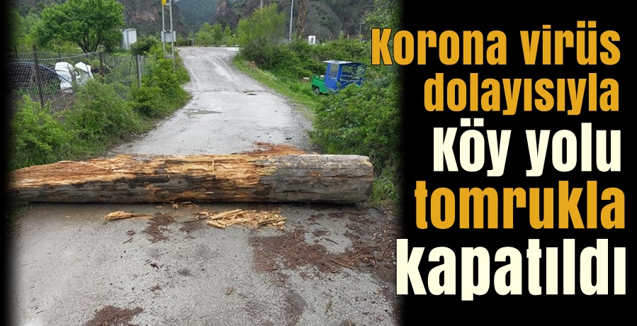 Köyün girişi ağaç tomruklarla kapatıldı