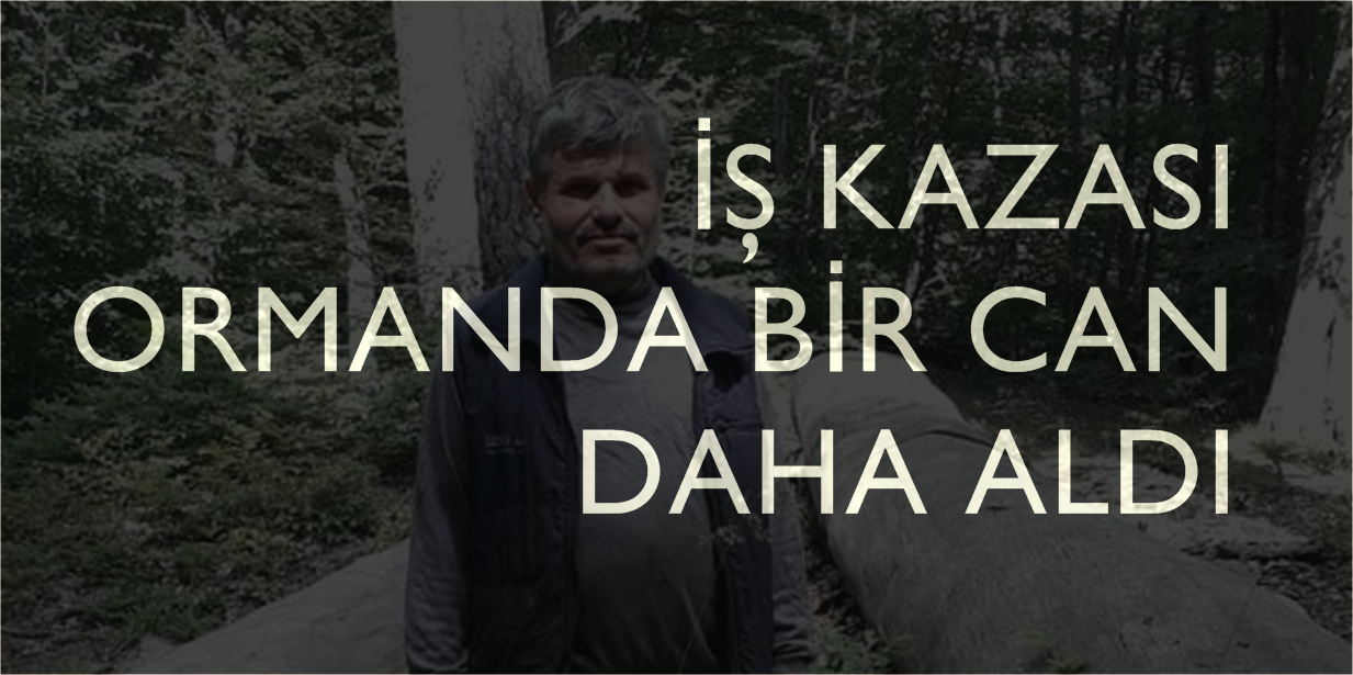 ORMANDA İŞ KAZASI..BİR CAN ALDI ..