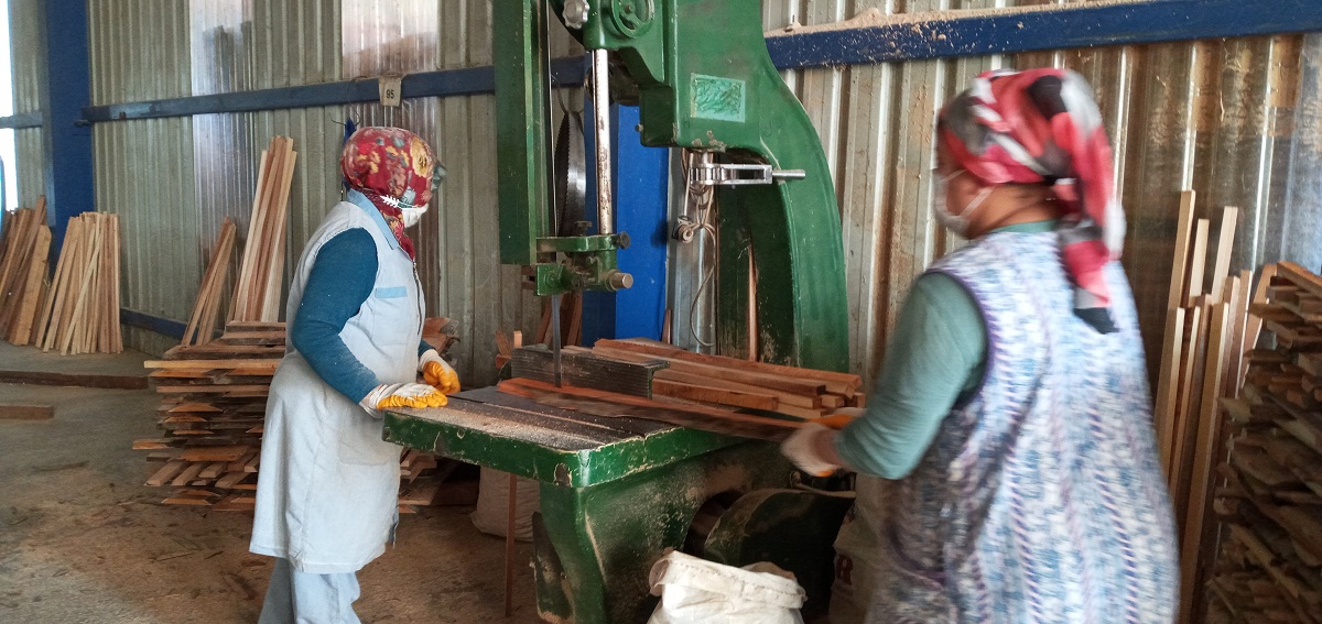 Kereste fabrikasında çalışan kadınlar erkeklere taş çıkartıyor