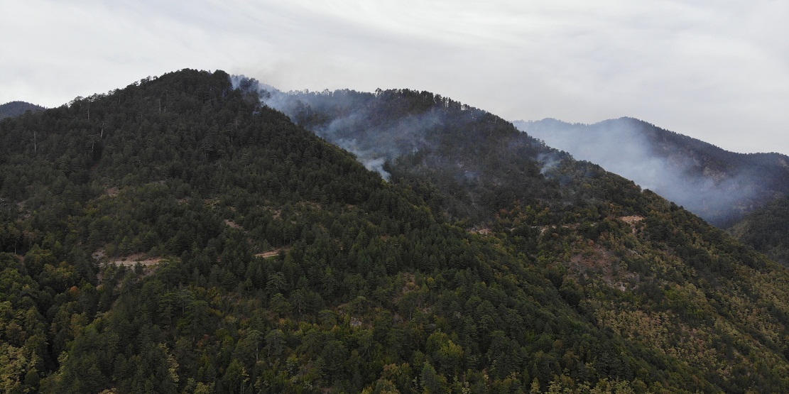Karabük’teki orman yangınında 40 hektar alan zarar gördü