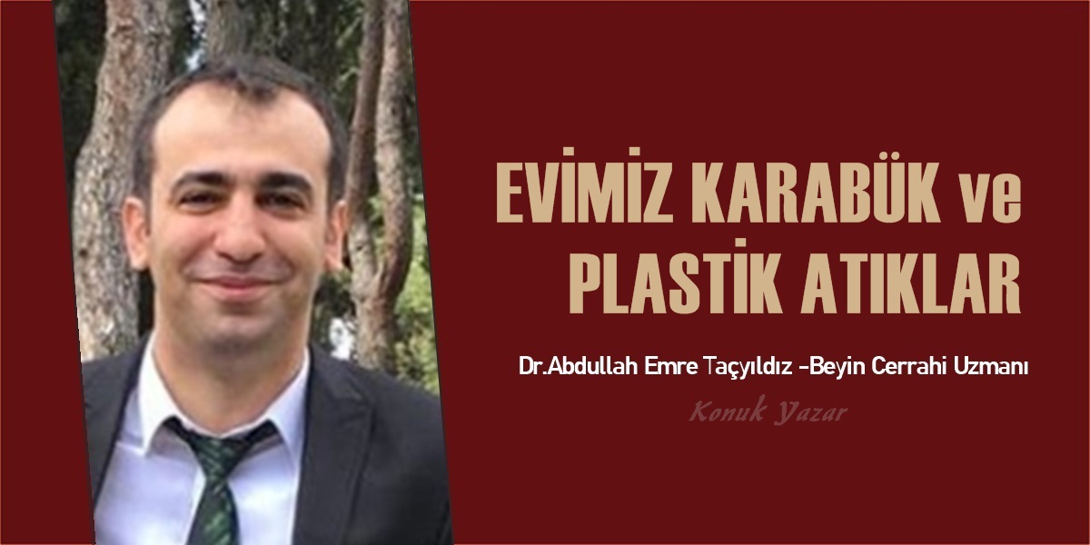                                                   “Plastik atıklar ve kirleticilerin yılda 9 milyon kişinin ölümüne