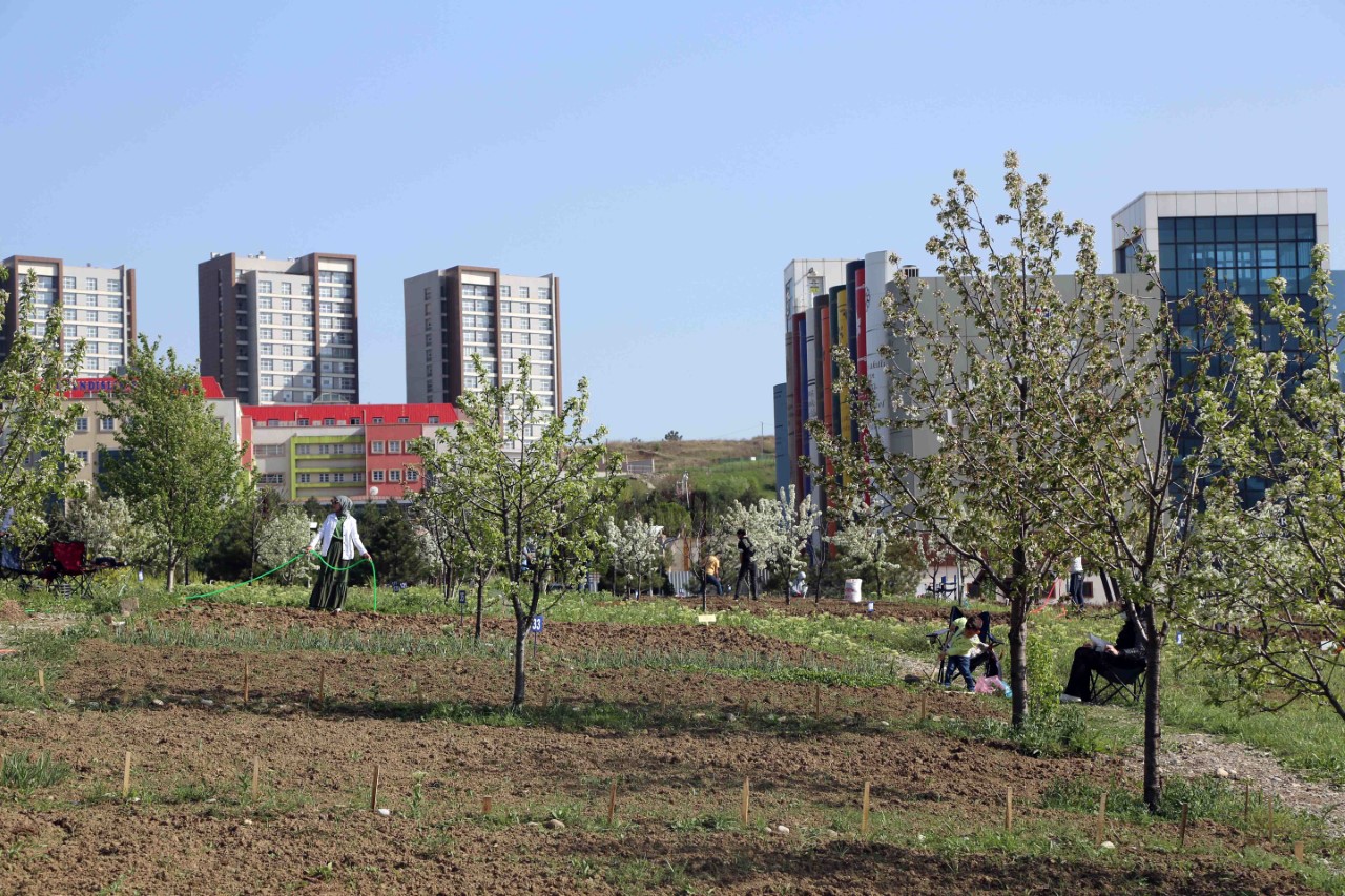 Karabük Üniversitesi yerleşkesinde bulunan