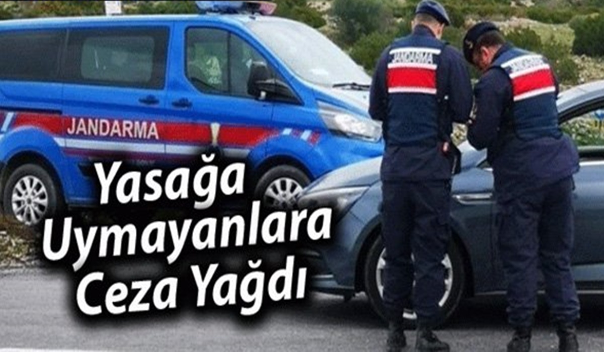 KISITLAMADA 420 KİŞİ CEZA ALDI..