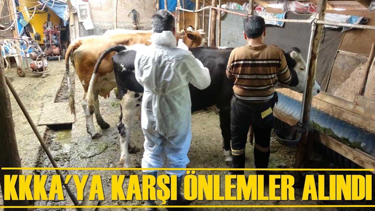 İl Sağlık Md. Dr Ahmet Sarı “Karabük’te keneye karşı önlemler alındı”