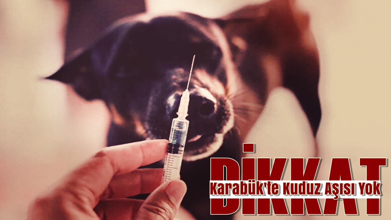 Karabük’te kuduz aşısı yok. Köpek vb hayvan ısırığında tedbir amaçlı