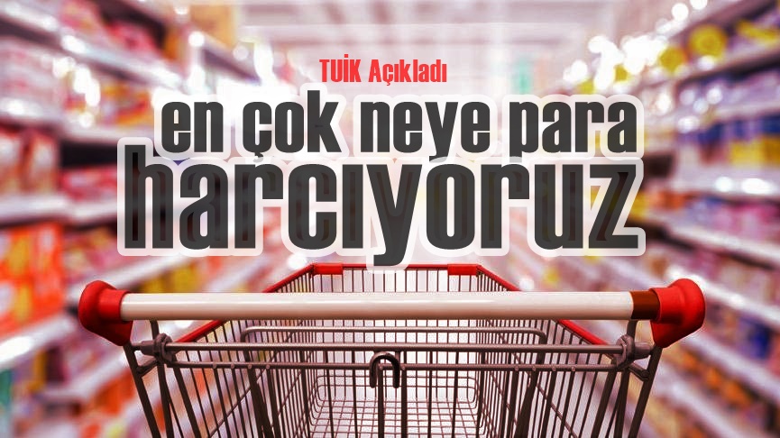 Türkiye İstatistik Kurumu (TÜİK), 2022 yılı Hane Halkı Tüketim Harcaması