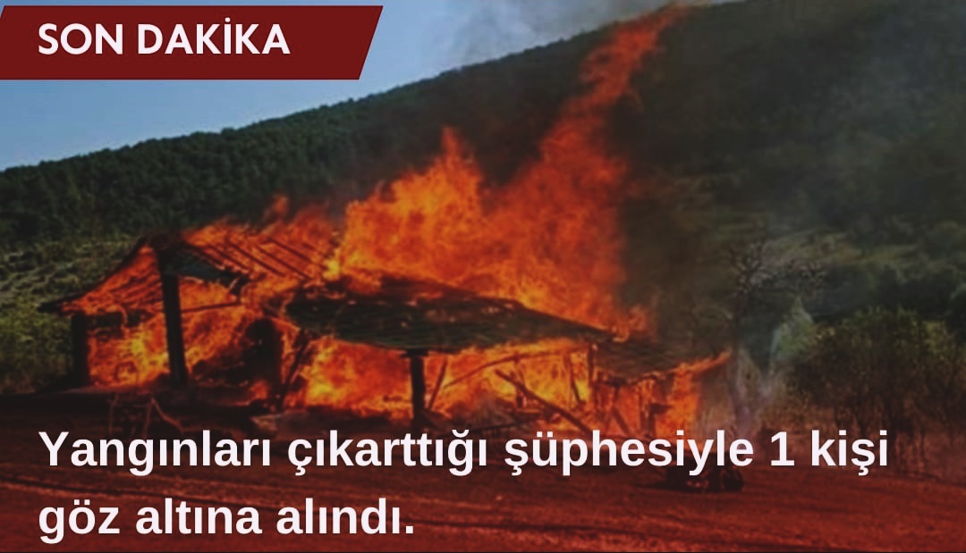 Karabük’ün Ovacık ilçesinde meydana gelen metruk bina, ahır ve samanlık