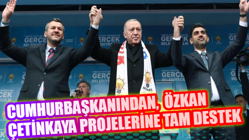 Cumhurbaşkanı ve AK Parti