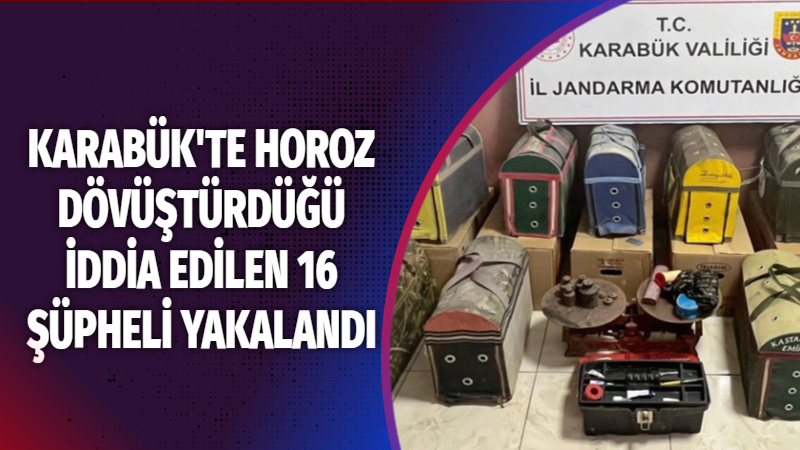 Karabük’te bir evin bahçesinde