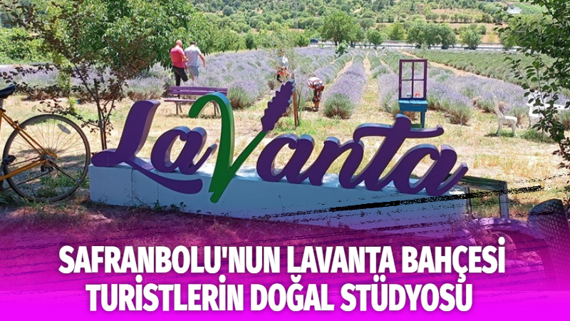 Çelikkaya Lavanta Bahçesi Karabük-Safranbolu’nun