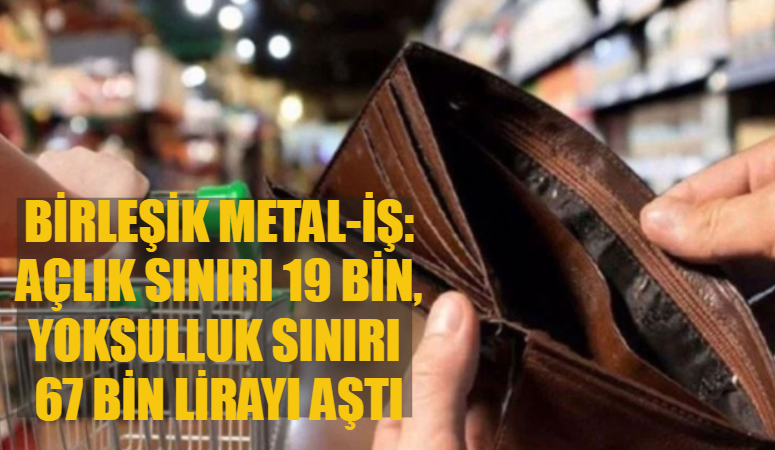 DİSK Birleşik Metal-İş Sendikası’nın