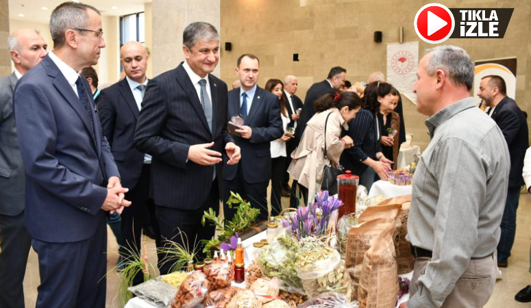 TABİAT KARABÜK PROJESİ İÇİN VATANDAŞ NE DİYOR?