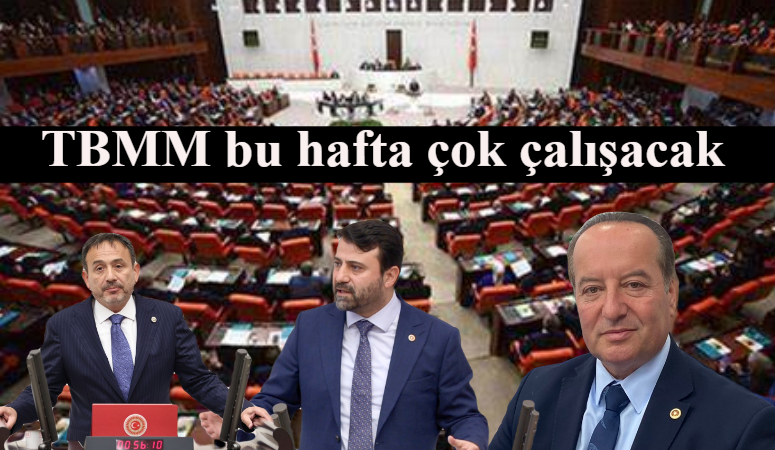 TBMM Genel Kurulu haftalık