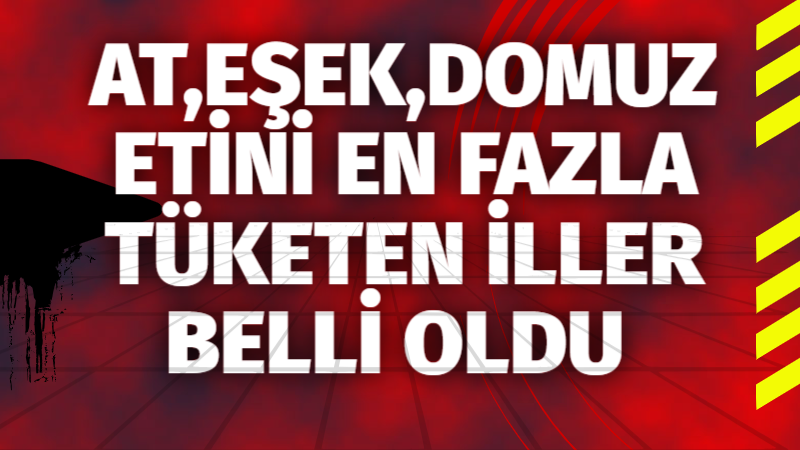 AT,EŞEK,DOMUZ ETİNİ EN FAZLA TÜKETEN İLLER BELLİ OLDU