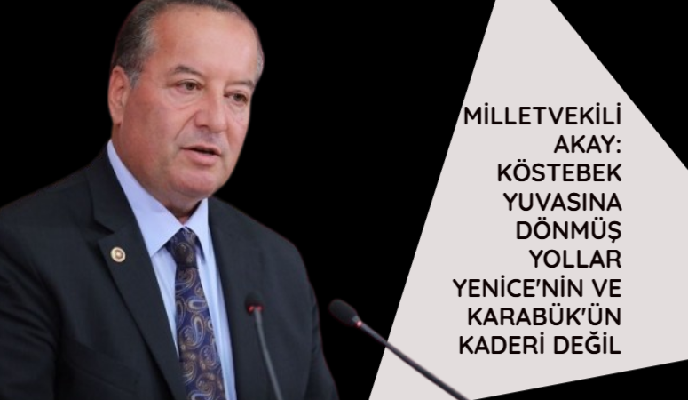 TBMM Genel Kurulu’nda konuşan CHP Karabük Milletvekili ve TBMM Plan