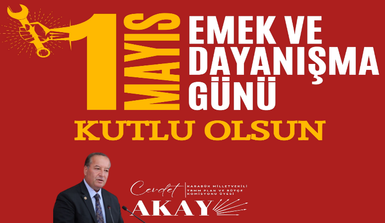 CHP Karabük Milletvekili ve TBMM Plan Bütçe Komisyonu Üyesi Cevdet