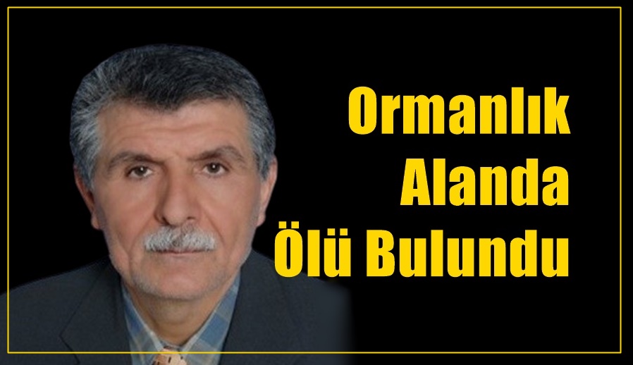 Yenice Gündem-  Yenice  sakinlerinden Sabri Yılmaz kayıp hayvanını araken ormanlık