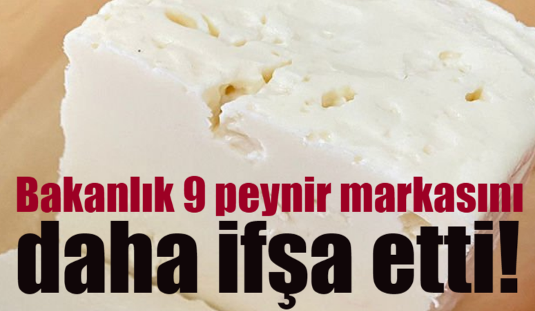Bakanlık halk sağlığını tehdit eden “taklit ve tağşiş yapılan gıdalar”