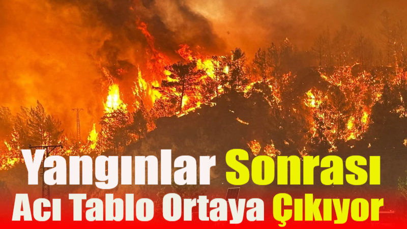 2025 yılı Haziran sonu ve Temmuz ayında, Avrupa’nın ve Türkiye’nin 