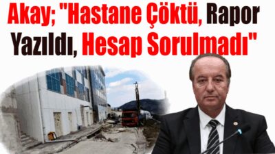   Türkiye Büyük Millet Meclisi, Kamu Denetçiliği Kurumu ve Sayıştay’ın