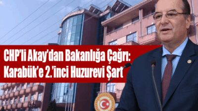   CHP Karabük Milletvekili Cevdet Akay, Aile ve Sosyal Hizmetler