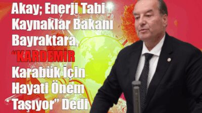   CHP Karabük Milletvekili ve TBMM Plan Bütçe Komisyonu Üyesi