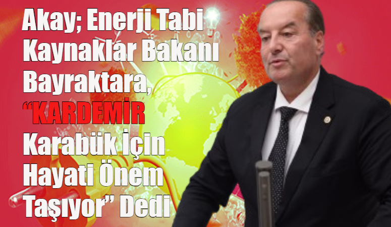   CHP Karabük Milletvekili ve TBMM Plan Bütçe Komisyonu Üyesi