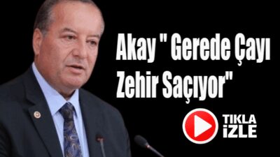   CHP Karabük Milletvekili ve TBMM Plan Bütçe Komisyonu Üyesi