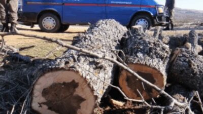 Cumhuriyet Halk Partisi (CHP) Yenice İlçe Başkanı Enver Özgü, ilçemizde