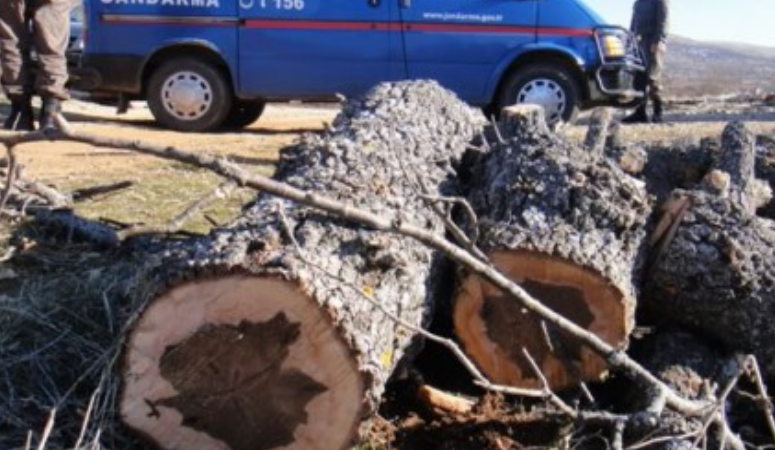 Cumhuriyet Halk Partisi (CHP) Yenice İlçe Başkanı Enver Özgü, ilçemizde