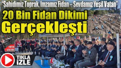 Yeşil Vatan Seferberliği kapsamında 11 hektarlık alanda; Ihlamur, Mavi Servi,