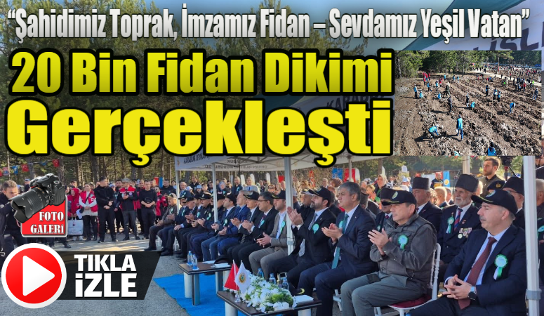 Yeşil Vatan Seferberliği kapsamında 11 hektarlık alanda; Ihlamur, Mavi Servi,