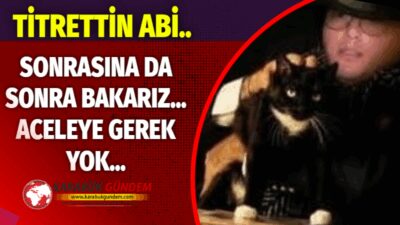 Özet: Bi laf var ya, “Doğduğun yer, kaderindir” diye… Onun